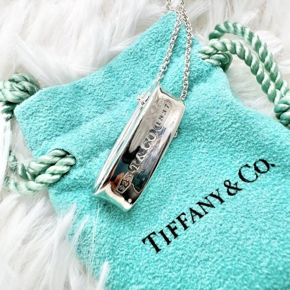 Mint Condition!! Tiffany & Co. Oval Loop Necklace